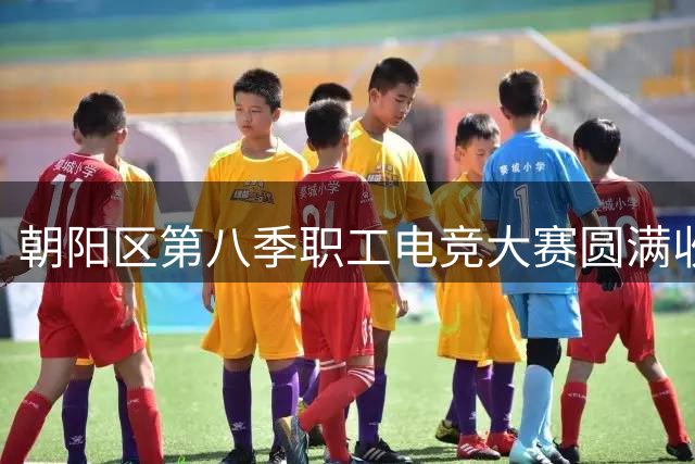 朝阳区第八季职工电竞大赛圆满收官 展现职工竞技风采